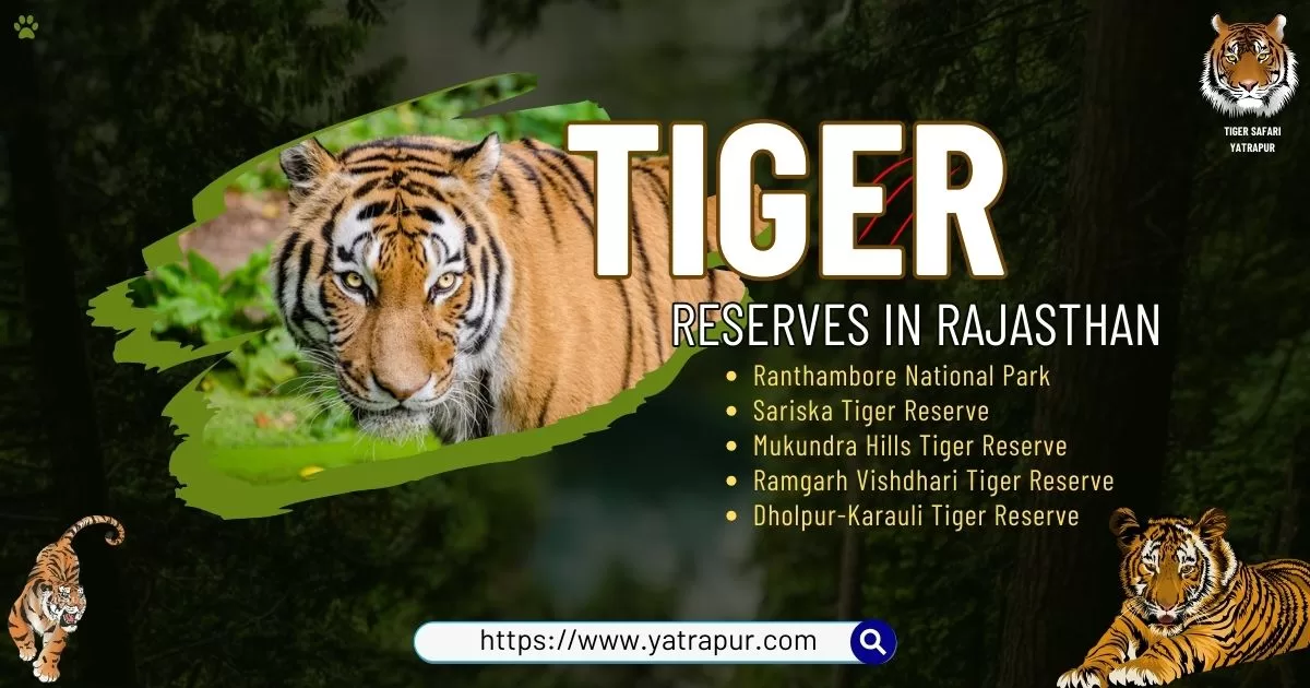 Tiger Reserve in Rajasthan | Destination for Wildlife Lovers